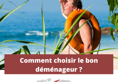 trouvez un déménageur dans les dom tom
