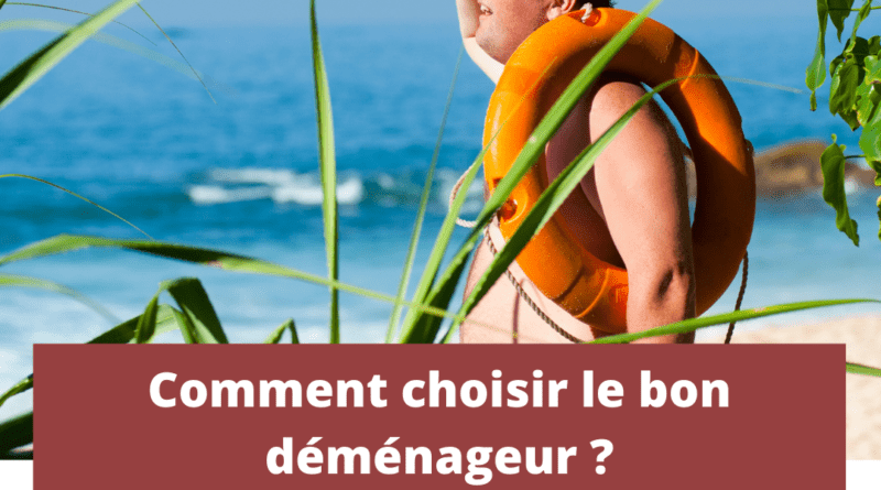 trouvez un déménageur dans les dom tom