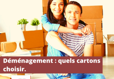 déménager à la réunion
